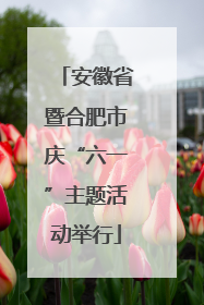 安徽省暨合肥市庆“六一”主题活动举行