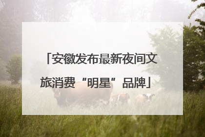 安徽发布最新夜间文旅消费“明星”品牌