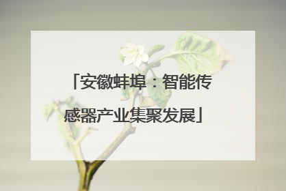 安徽蚌埠：智能传感器产业集聚发展