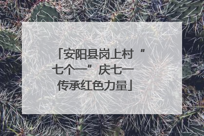 安阳县岗上村“七个一”庆七一 传承红色力量