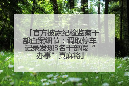 官方披露纪检监察干部查案细节：调取停车记录发现3名干部假“办事”真麻将