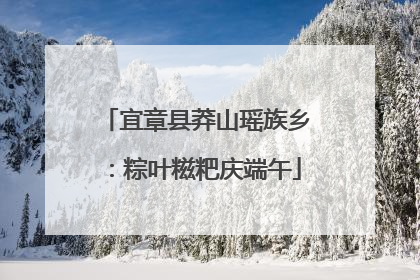 宜章县莽山瑶族乡：粽叶糍粑庆端午
