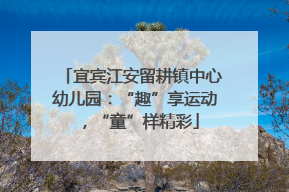 宜宾江安留耕镇中心幼儿园：“趣”享运动，“童”样精彩