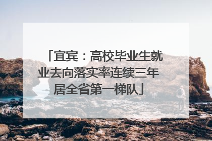 宜宾：高校毕业生就业去向落实率连续三年居全省第一梯队