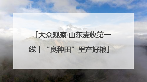 大众观察·山东麦收第一线丨“良种田”里产好粮