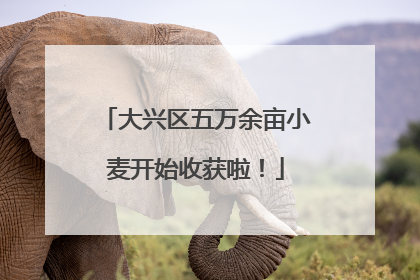 大兴区五万余亩小麦开始收获啦！