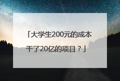 大学生200元的成本干了20亿的项目？