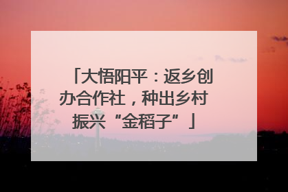 大悟阳平：返乡创办合作社，种出乡村振兴“金稻子”