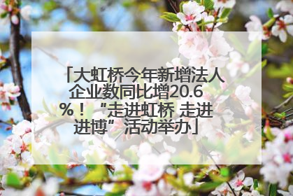 大虹桥今年新增法人企业数同比增20.6%！“走进虹桥 走进进博”活动举办