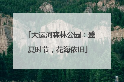 大运河森林公园：盛夏时节，花海依旧