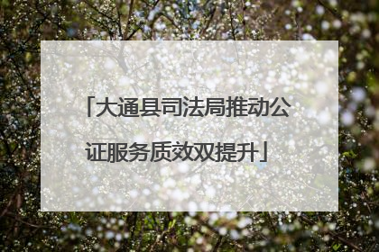 大通县司法局推动公证服务质效双提升