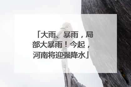 大雨、暴雨，局部大暴雨！今起，河南将迎强降水