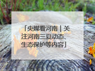 央媒看河南｜关注河南三夏动态、生态保护等内容