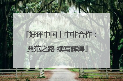 好评中国丨中非合作：典范之路 续写辉煌