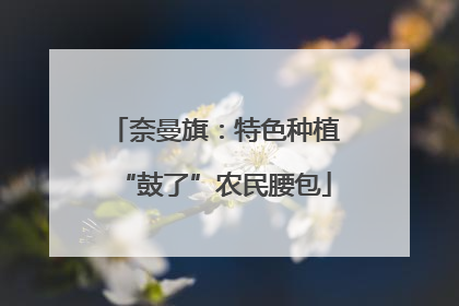 奈曼旗：特色种植“鼓了”农民腰包