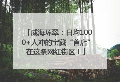 威海环翠：日均1000+人冲的宝藏“首店”在这条网红街区！