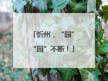 忻州，“园”“园”不断！