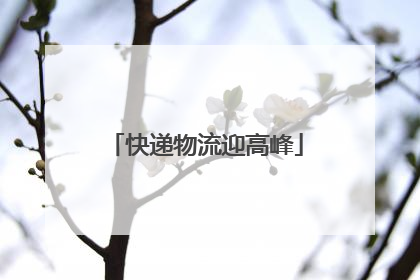 快递物流迎高峰