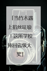 当竹木遇上掐丝珐琅！这所学校捧回省级大奖