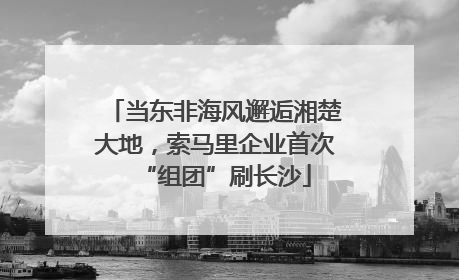当东非海风邂逅湘楚大地，索马里企业首次“组团”刷长沙