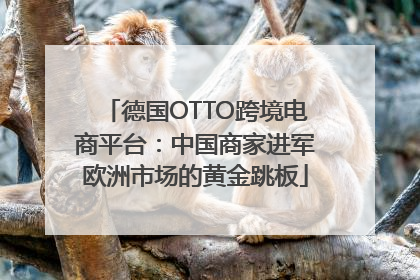 德国OTTO跨境电商平台：中国商家进军欧洲市场的黄金跳板