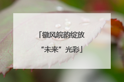 徽风皖韵绽放“未来”光彩