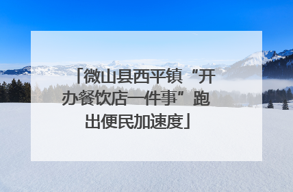 微山县西平镇“开办餐饮店一件事”跑出便民加速度