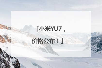 小米YU7，价格公布！