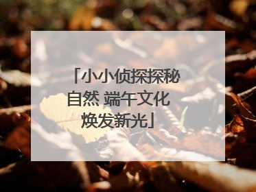 小小侦探探秘自然 端午文化焕发新光