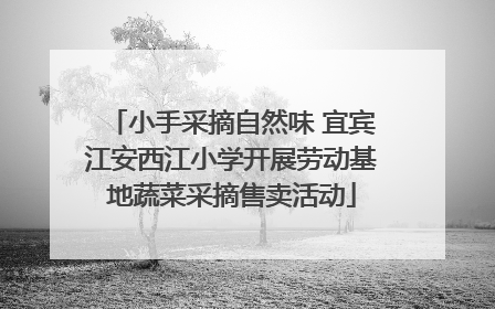 小手采摘自然味 宜宾江安西江小学开展劳动基地蔬菜采摘售卖活动