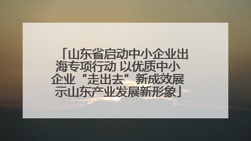 山东省启动中小企业出海专项行动 以优质中小企业“走出去”新成效展示山东产业发展新形象