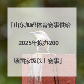 山东加码体育赛事供给 2025年拟办200场国家级以上赛事