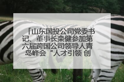山东国投公司党委书记、董事长栾健参加第六届跨国公司领导人青岛峰会“人才引领 创新驱动”人力资源高质量发展对话会