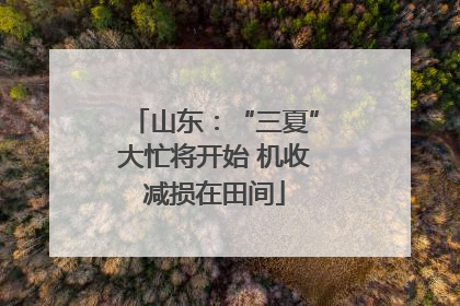 山东：“三夏”大忙将开始 机收减损在田间