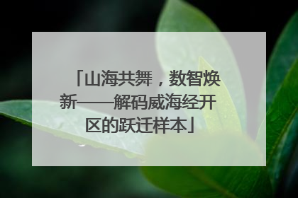 山海共舞，数智焕新——解码威海经开区的跃迁样本