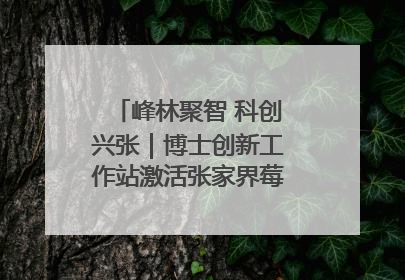 峰林聚智 科创兴张｜博士创新工作站激活张家界莓茶产业新动能
