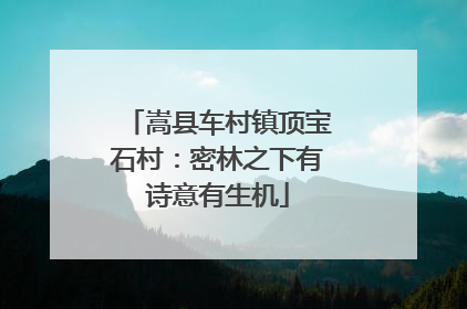 嵩县车村镇顶宝石村：密林之下有诗意有生机