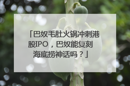 巴奴毛肚火锅冲刺港股IPO，巴奴能复刻海底捞神话吗？