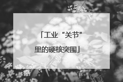 工业“关节”里的硬核突围