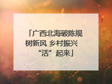 广西北海破陈规树新风 乡村振兴“活”起来
