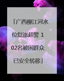 广西柳江河水位复涨超警 102名被困群众已安全转移