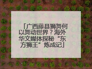 广西藤县狮舞何以舞动世界？海外华文媒体探秘“东方狮王”炼成记