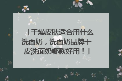 干燥皮肤适合用什么洗面奶，洗面奶品牌干皮洗面奶哪款好用！