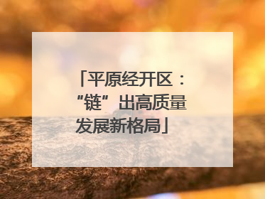 平原经开区：“链”出高质量发展新格局