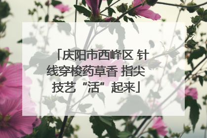 庆阳市西峰区 针线穿梭药草香 指尖技艺“活”起来