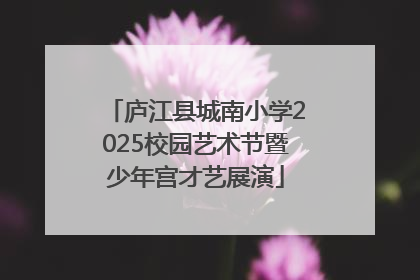 庐江县城南小学2025校园艺术节暨少年宫才艺展演