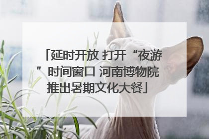 延时开放 打开“夜游”时间窗口 河南博物院推出暑期文化大餐