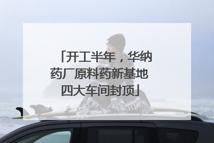开工半年，华纳药厂原料药新基地四大车间封顶