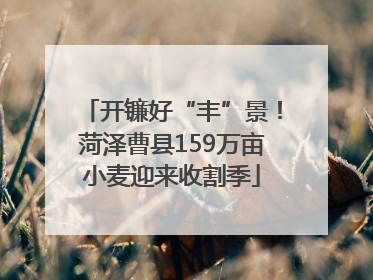 开镰好“丰”景！菏泽曹县159万亩小麦迎来收割季