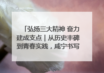 弘扬三大精神 奋力建成支点｜从历史丰碑到青春实践，咸宁书写精神传承新篇章